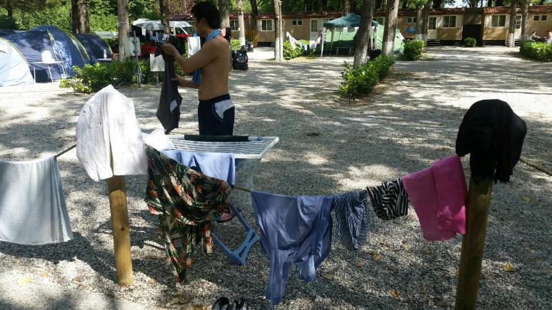 image05.png?type=w773