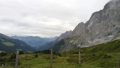 20170821_162305.jpg?type=w386