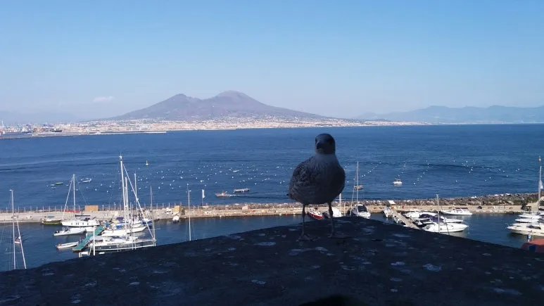 20170816_173230.jpg?type=w773