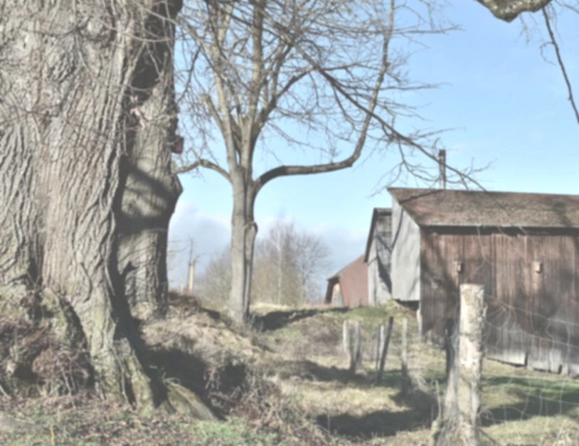 SE-fec45e3a-f31a-4537-9d45-d7adf267ebc7.png?type=w1