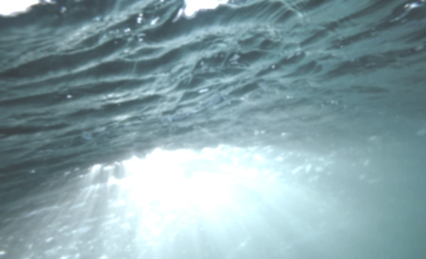 SE-2bb7a14c-272a-4deb-8d19-6ad6f3d9b800.png?type=w1