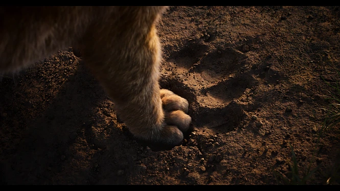 movie_image.jpg?type=m665_443_2