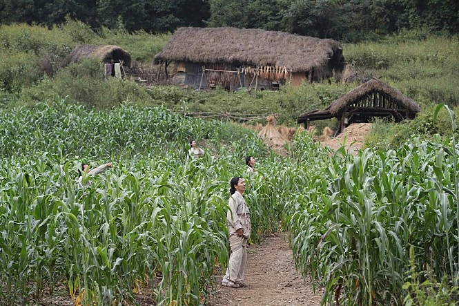 movie_image.jpg?type=m665_443_2