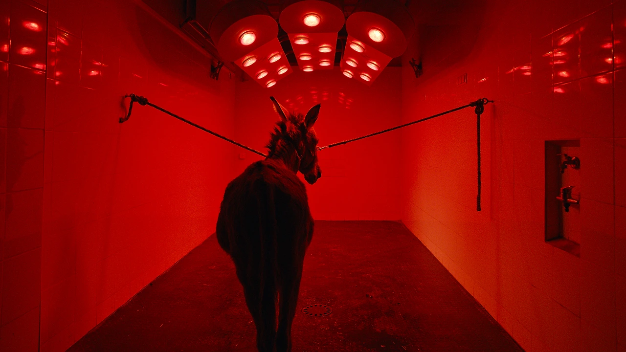 c67e97577452df408763731b5bda998765ff2464