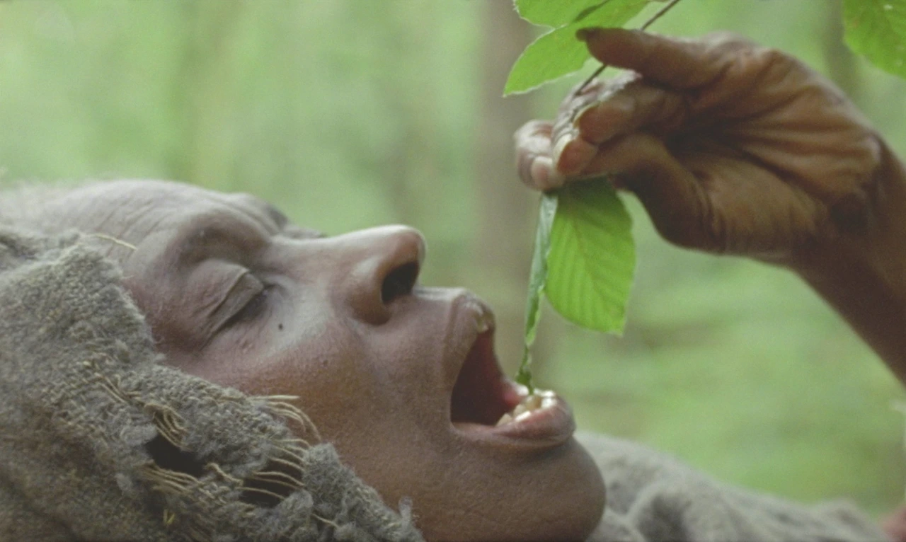 86e390427d2b42351a6ccf272fa98b75f525373e