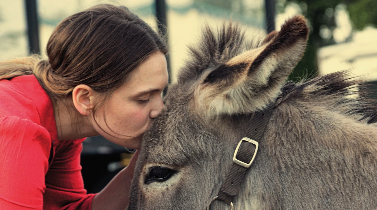 a17f769b619f46e6c0e1da2b3b10b197297a2476