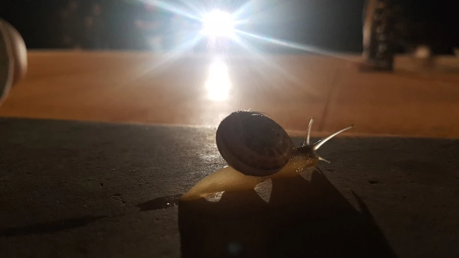 1525460553979.jpg?type=w1