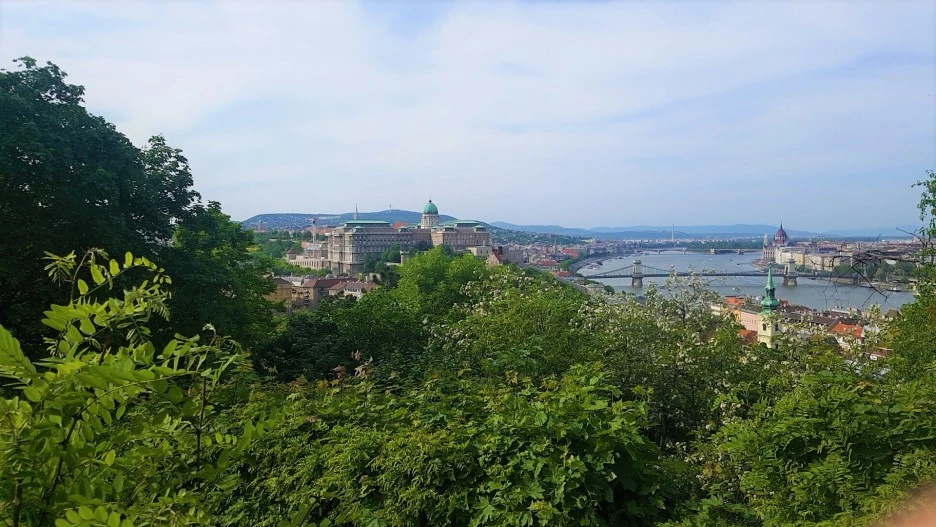 1525185142914.jpg?type=w1