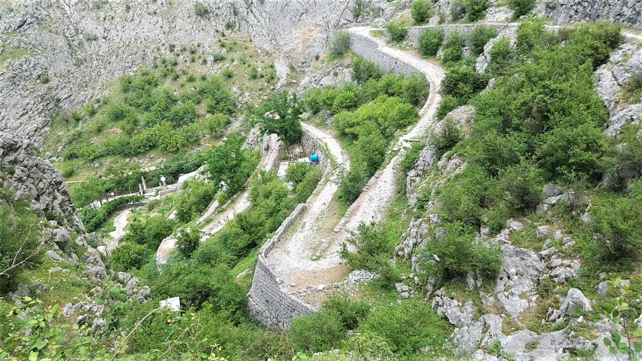 1525787936208.jpg?type=w1