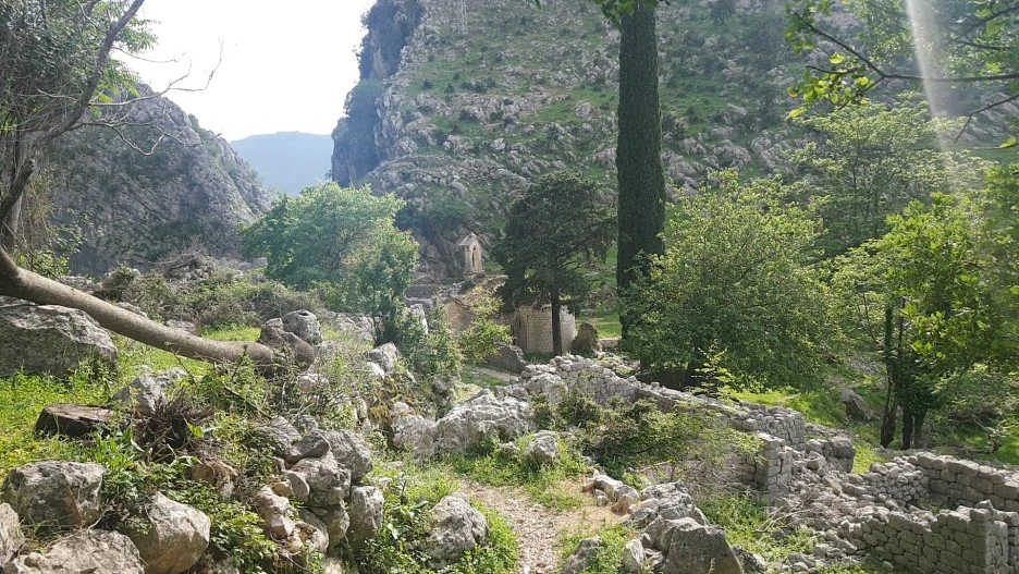 1525789639647.jpg?type=w1