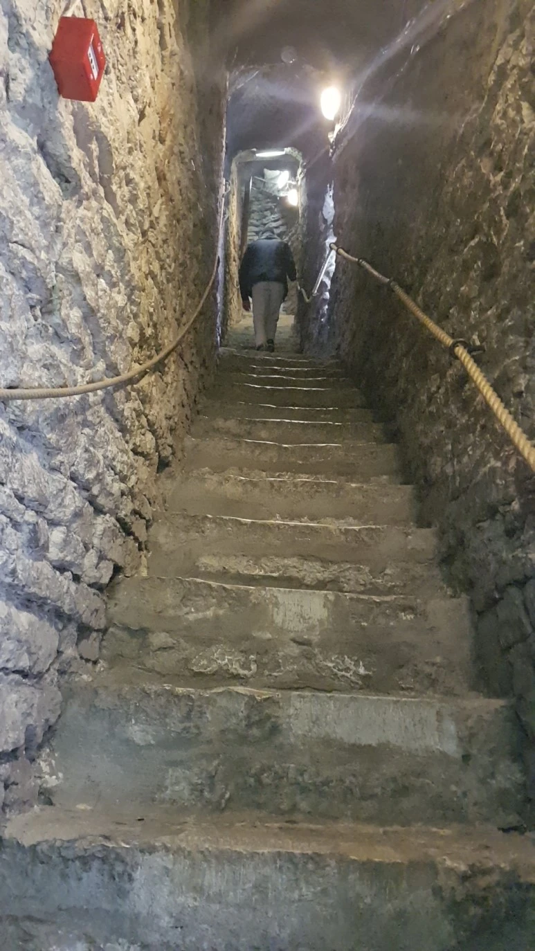 1524124481901.jpg?type=w773