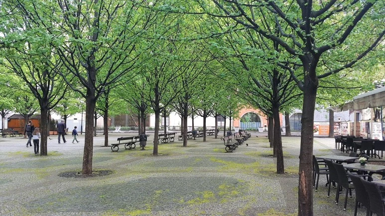 1524493995336.jpg?type=w773