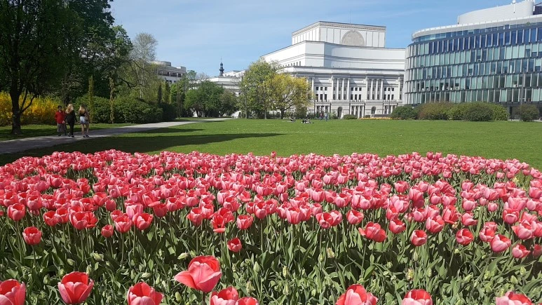 1524397559510.jpg?type=w773