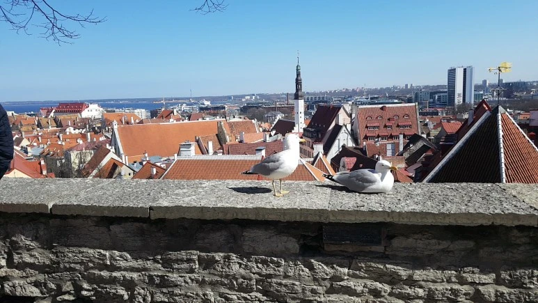 1524135134590.jpg?type=w773