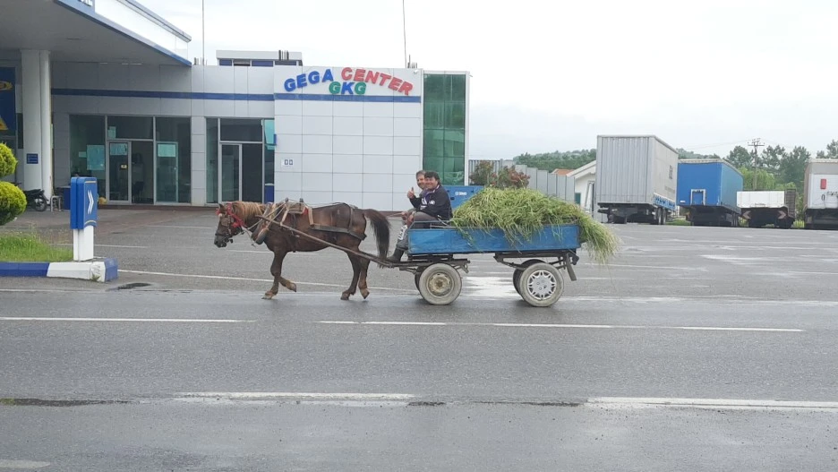 1525860359427.jpg?type=w1