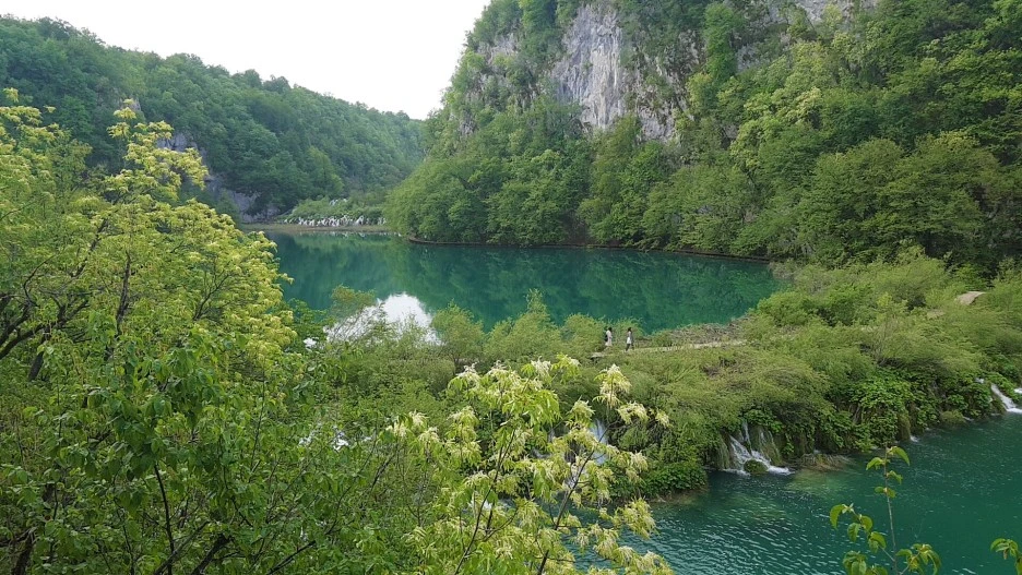 1525416250004.jpg?type=w1