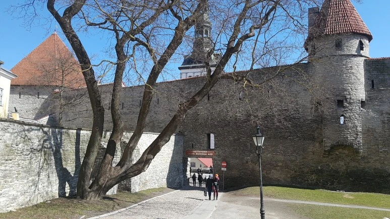 1524134692113.jpg?type=w773