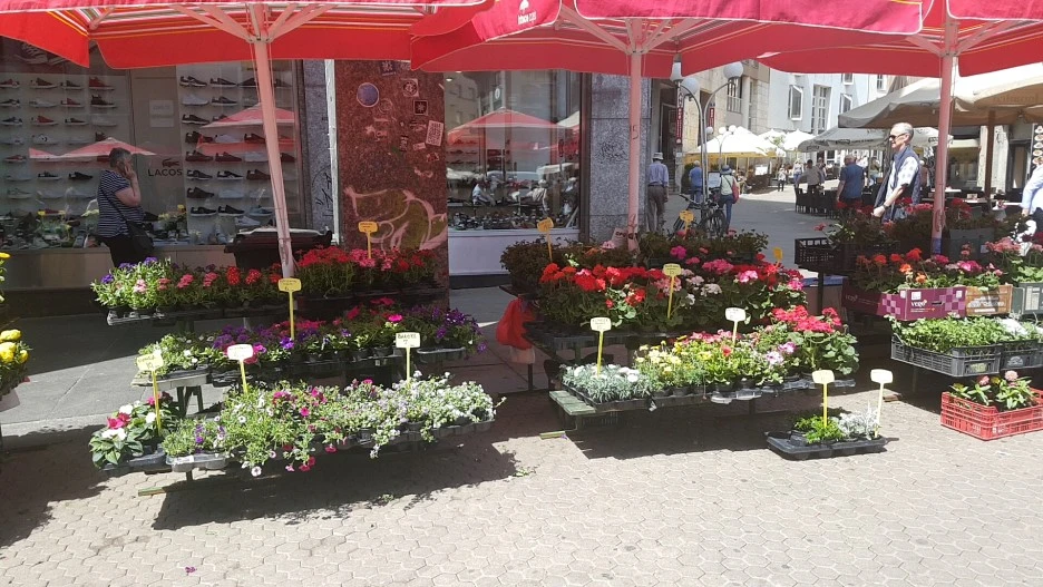 1525341859157.jpg?type=w1