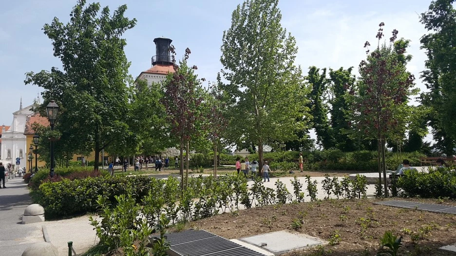 1525347394106.jpg?type=w1