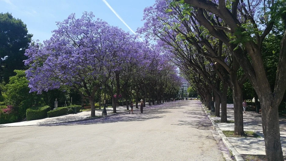 1526384743602.jpg?type=w1