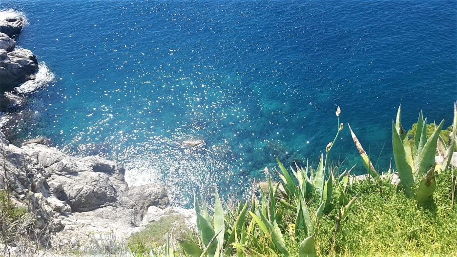 1525686529210.jpg?type=w1