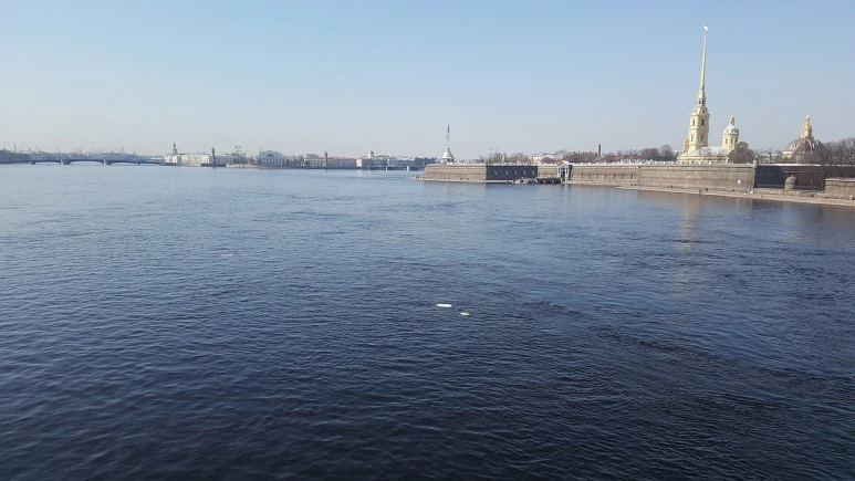 1523781681333.jpg?type=w773