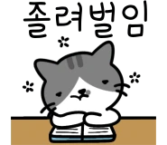 original_12.png?type=p50_50