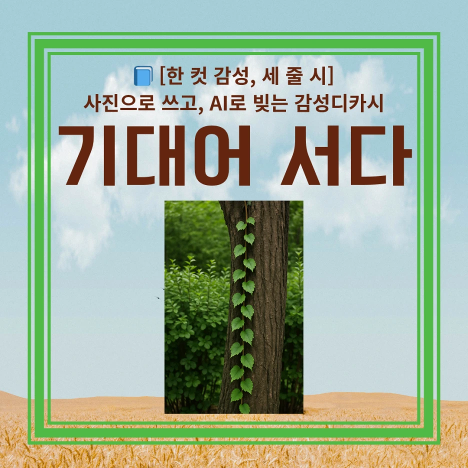 %EB%94%94%EC%B9%B4%EC%8B%9C_-%EC%8D%B8%EB%84%A4%EC%9D%BC_(10).png?type=w1