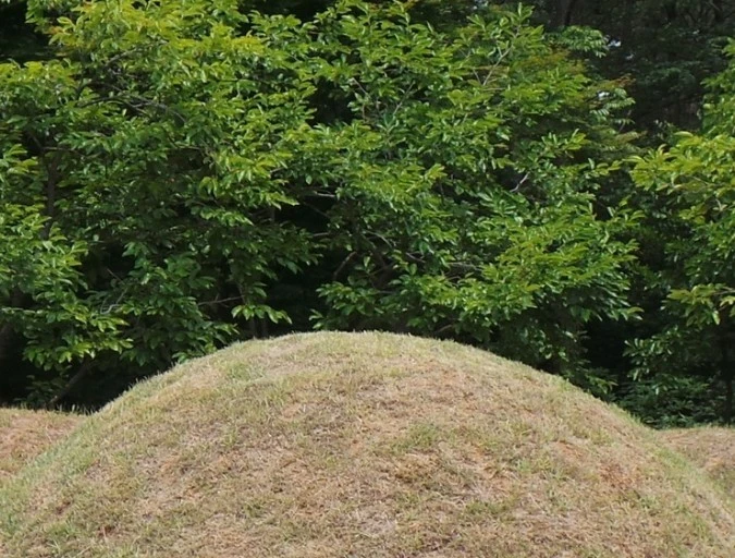 다운로드 (1).jfif