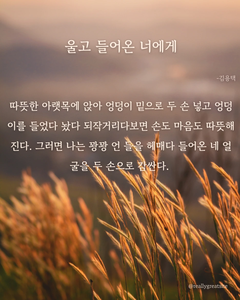 %EA%B0%88%EC%83%89_%EB%8B%A8%EC%88%9C%ED%95%9C_%EA%B0%80%EC%9D%84_%EC%9D%B8%EC%9A%A9_%EC%9D%B8%EC%8A%A4%ED%83%80%EA%B7%B8%EB%9E%A8_%EA%B2%8C%EC%8B%9C%EB%AC%BC(45).png?type=w1