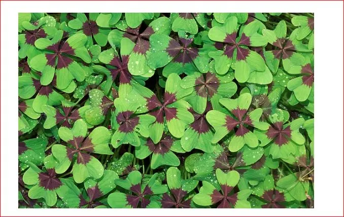 %EC%BA%A1%EC%B2%98goddn.JPG?type=w966