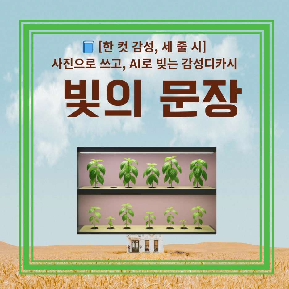 %EB%94%94%EC%B9%B4%EC%8B%9C_-%EC%8D%B8%EB%84%A4%EC%9D%BC_(3).png?type=w1