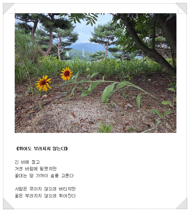 SE-3f610529-aa13-4d71-b449-b4f44f8a91bc.png?type=w1