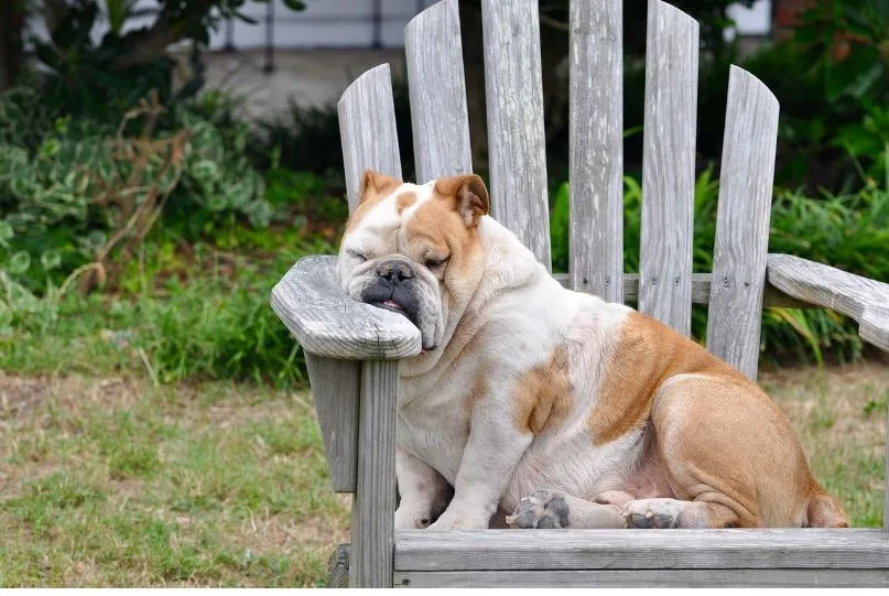 %EC%BA%A1%EC%B2%9877.JPG?type=w1600