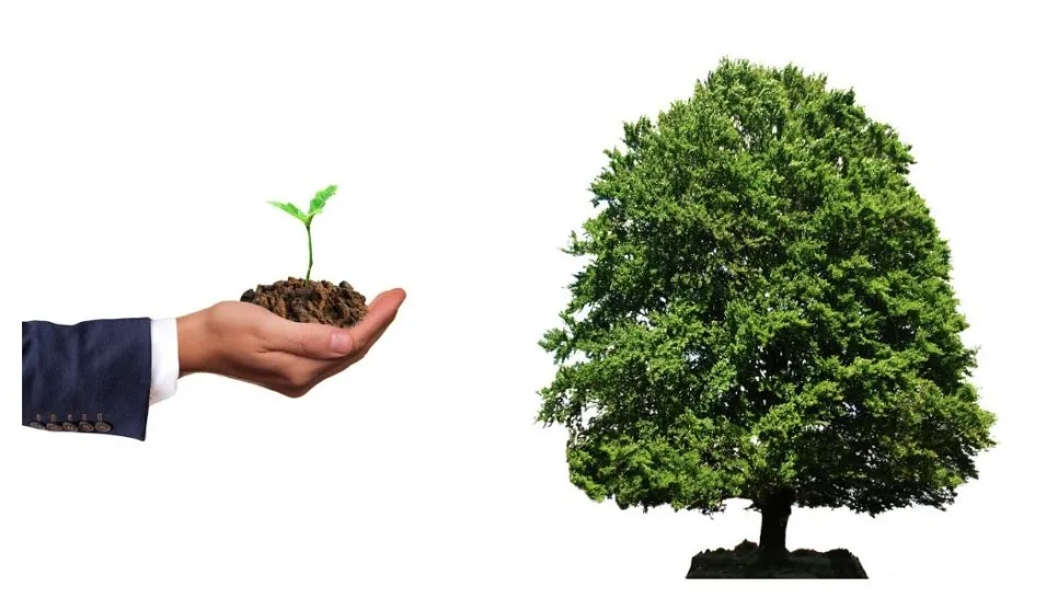 %EC%BA%A1%EC%B2%981112.JPG?type=w966