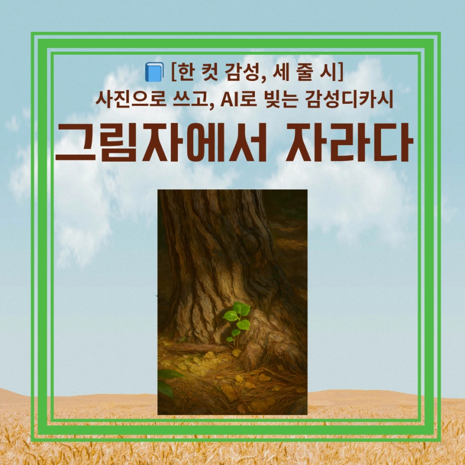 %EB%94%94%EC%B9%B4%EC%8B%9C_-%EC%8D%B8%EB%84%A4%EC%9D%BC_(2).png?type=w1