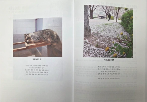 %ED%9D%AC%EB%A7%9D%EB%B4%894.PNG?type=w1