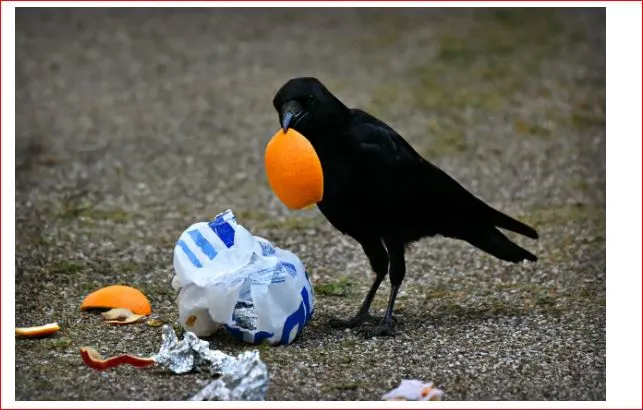 %EC%BA%A1%EC%B2%98.JPG?type=w966