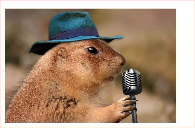 %EC%BA%A1%EC%B2%98ak.JPG?type=w966