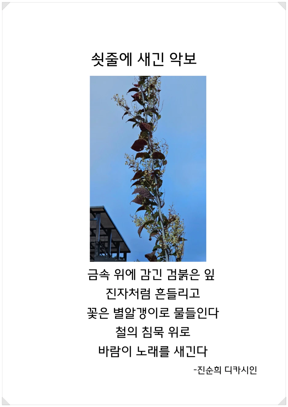 SE-f4285d85-f98b-46e9-bc88-e368377827aa.png?type=w1