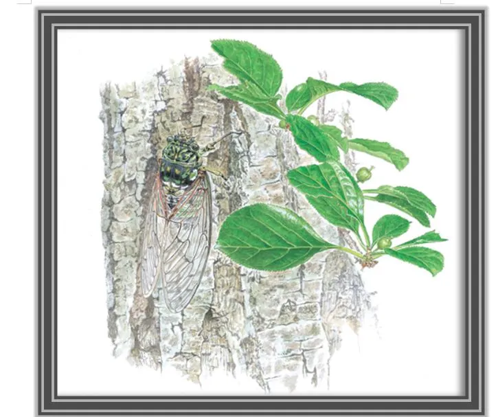 %EC%BA%A1%EC%B2%98.JPG?type=w966