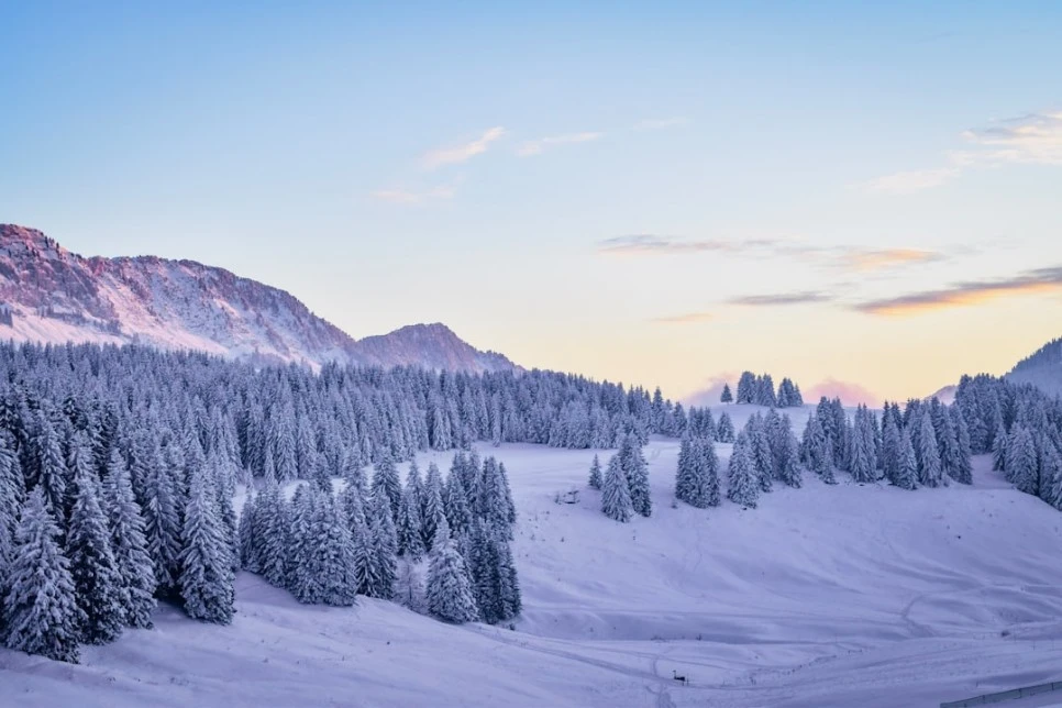 photo-1547327132-5d20850c62b5.jpg?type=w966