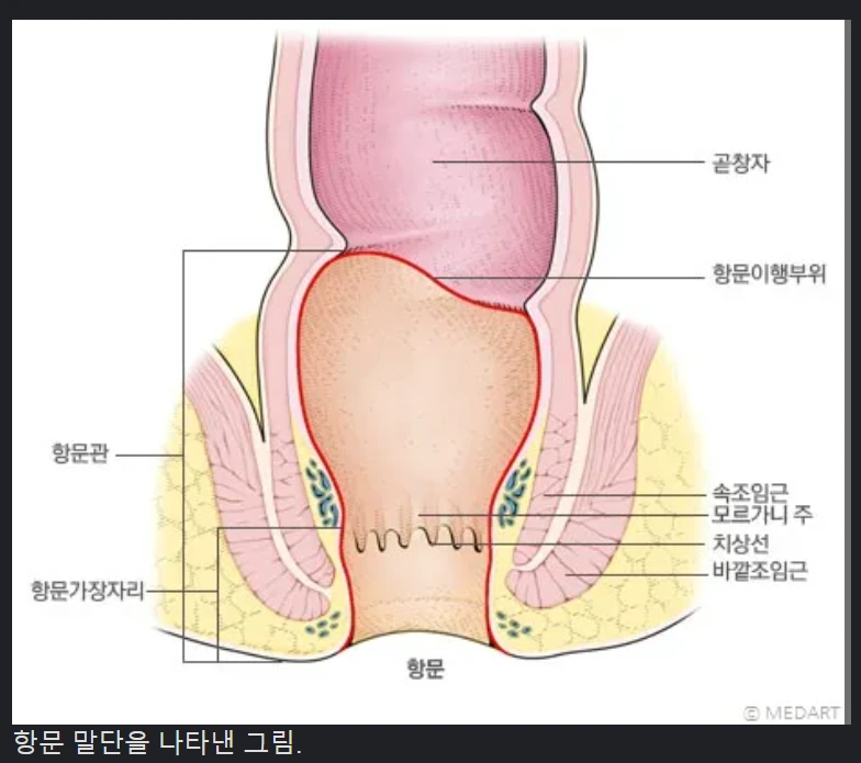 %EC%8A%A4%ED%81%AC%EB%A6%B0%EC%83%B7_2023-11-17_135630.png?type=w966