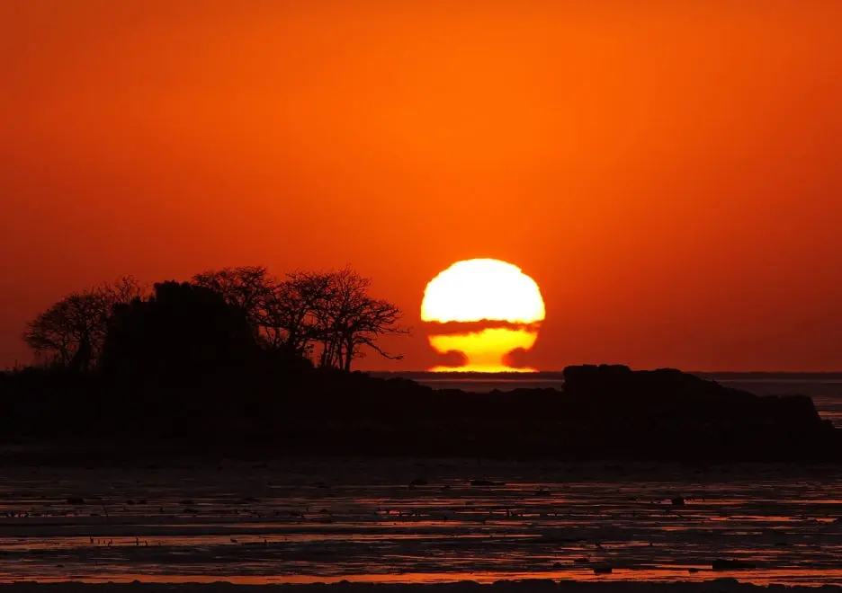 nature-5276366_1280.jpg?type=w1