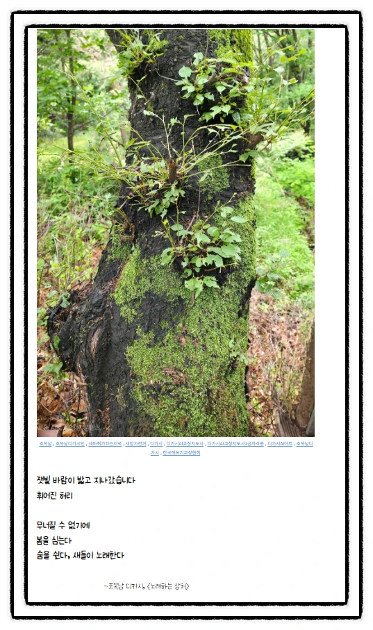 SE-d49e2315-f164-41d7-83a2-9e5c5f3c48db.png?type=w1