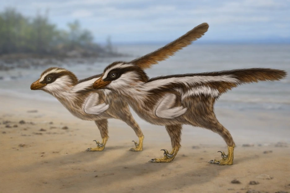 cf478621-64e5-47d6-bdc9-81c7425df624.png?type=w1