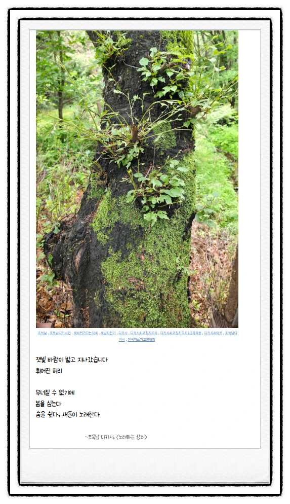 SE-49cf10c0-857c-4f19-a635-0acac4dd28be.png?type=w1