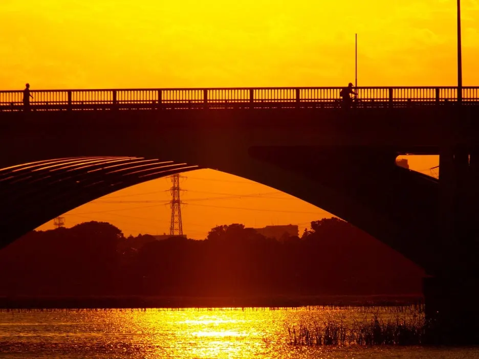 natural-4864441_1280.jpg?type=w1