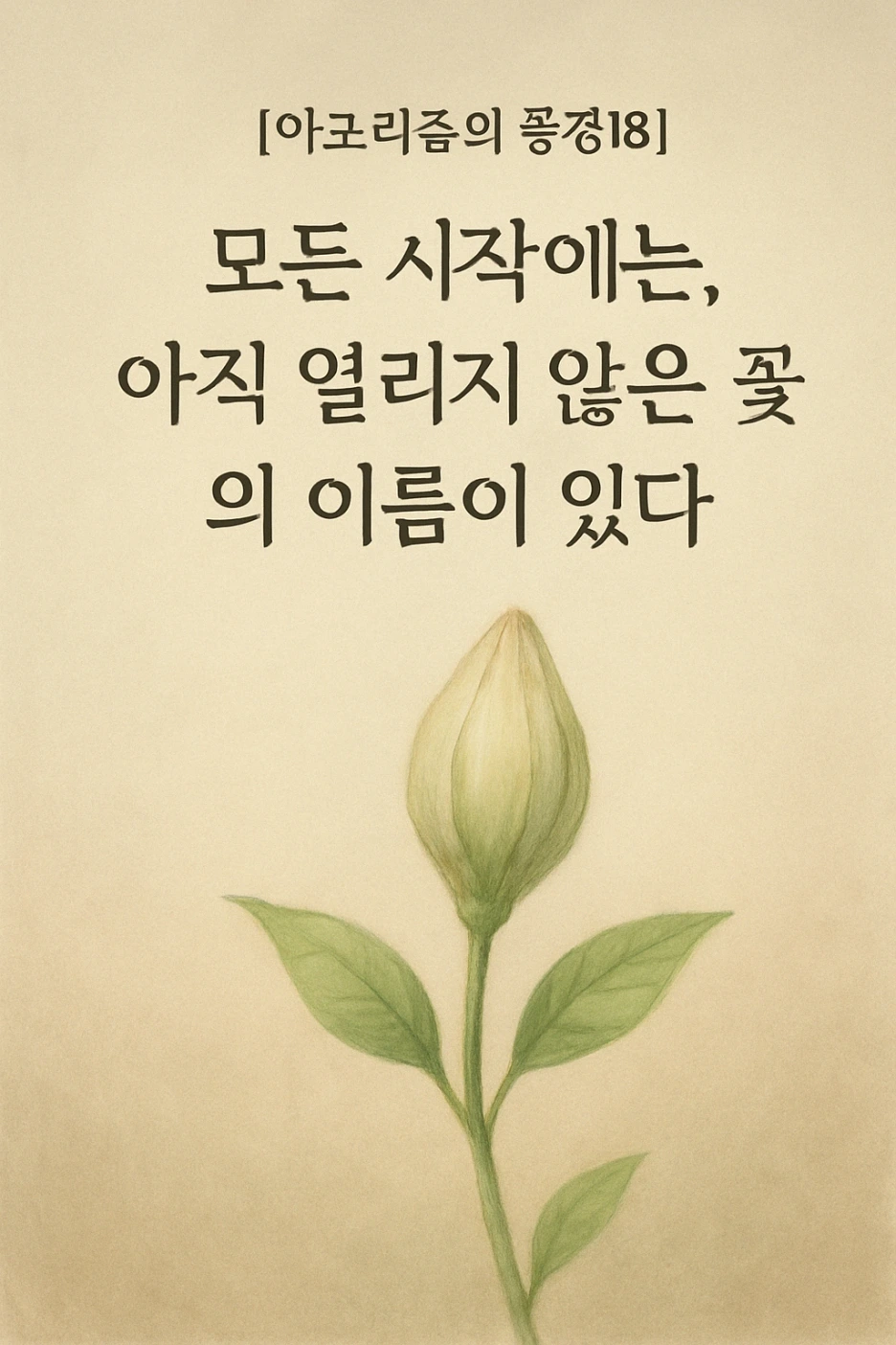 beb6803f-984b-4638-a81a-681281cb3c56.png?type=w1