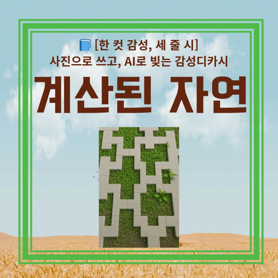 %EB%94%94%EC%B9%B4%EC%8B%9C_-%EC%8D%B8%EB%84%A4%EC%9D%BC_(4).png?type=w1